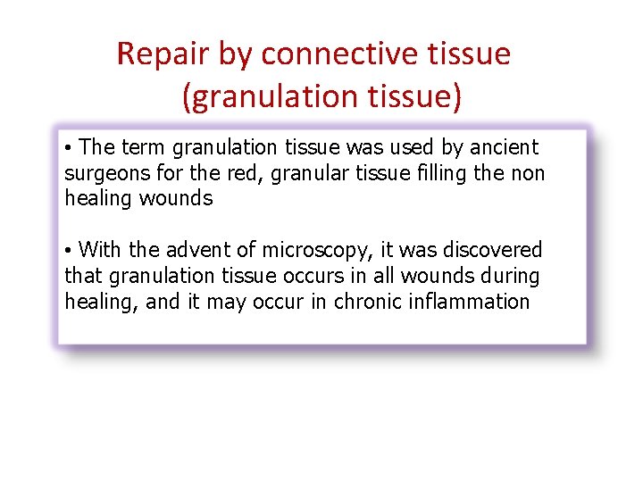 Repair by connective tissue (granulation tissue) • The term granulation tissue was used by