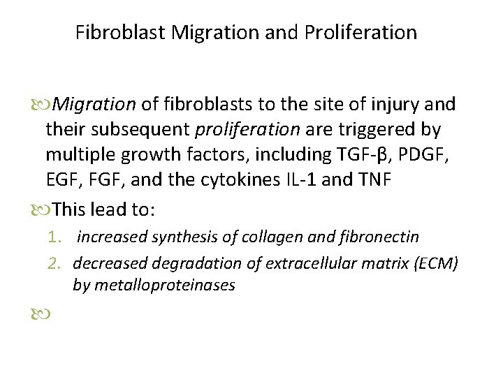 Fibroblast Migration and Proliferation Migration of fibroblasts to the site of injury and their