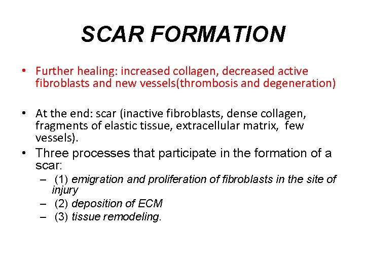 SCAR FORMATION • Further healing: increased collagen, decreased active fibroblasts and new vessels(thrombosis and