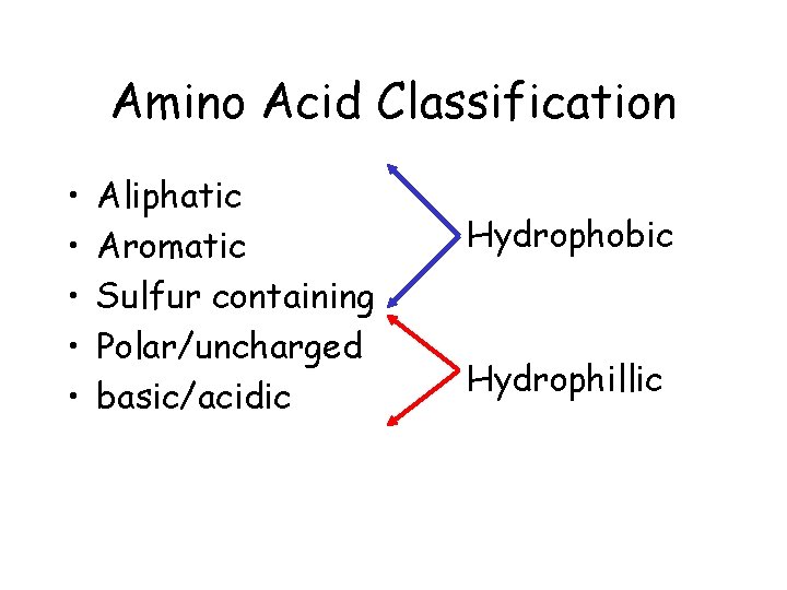 Amino Acid Classification • • • Aliphatic Aromatic Sulfur containing Polar/uncharged basic/acidic Hydrophobic Hydrophillic