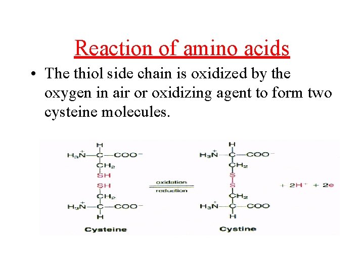 Reaction of amino acids • The thiol side chain is oxidized by the oxygen