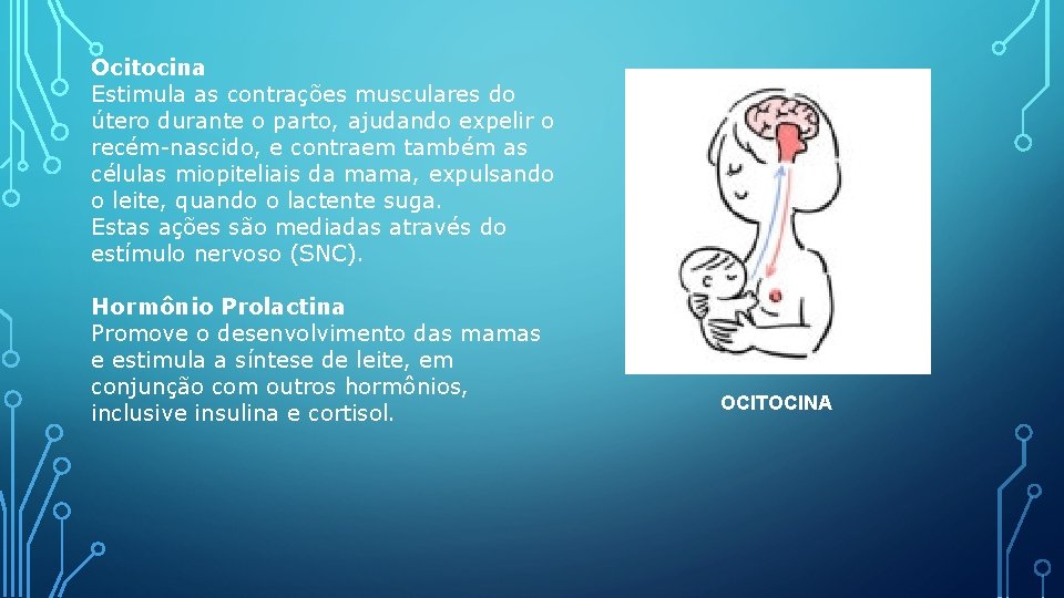 Ocitocina Estimula as contrações musculares do útero durante o parto, ajudando expelir o recém-nascido,