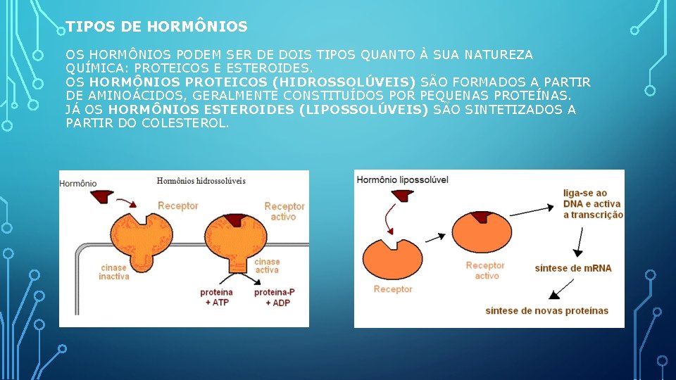 TIPOS DE HORMÔNIOS OS HORMÔNIOS PODEM SER DE DOIS TIPOS QUANTO À SUA NATUREZA