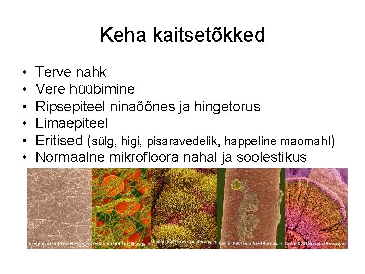 Keha kaitsetõkked • • • Terve nahk Vere hüübimine Ripsepiteel ninaõõnes ja hingetorus Limaepiteel Keha kaitsetõkked • • • Terve nahk Vere hüübimine Ripsepiteel ninaõõnes ja hingetorus Limaepiteel