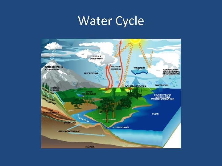 Water Cycle 