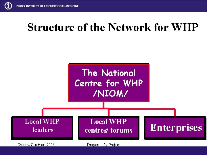 Structure of the Network for WHP The National Centre for WHP /NIOM/ Local WHP