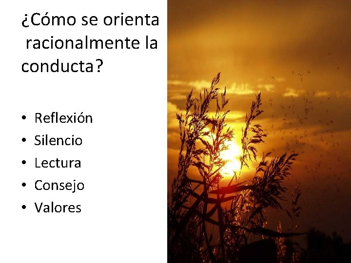 ¿Cómo se orienta racionalmente la conducta? • • • Reflexión Silencio Lectura Consejo Valores