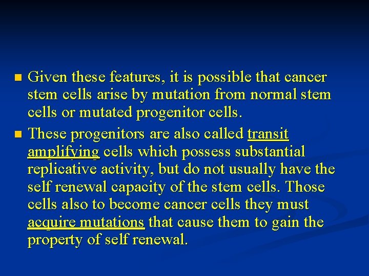 Given these features, it is possible that cancer stem cells arise by mutation from