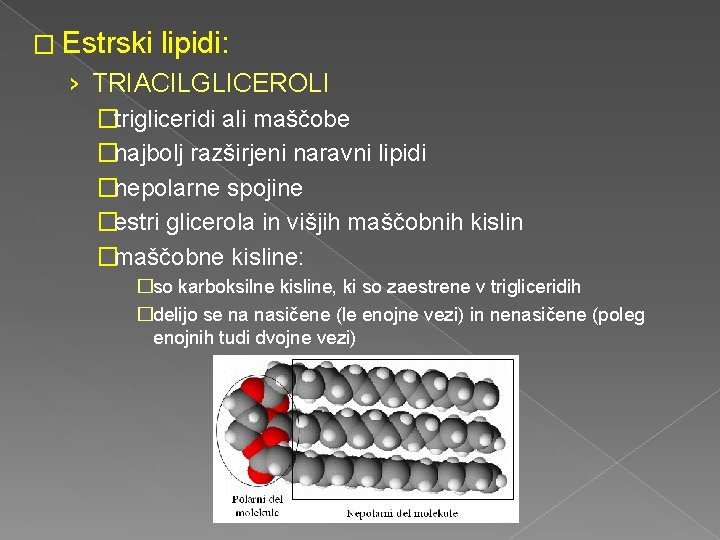 � Estrski lipidi: › TRIACILGLICEROLI �trigliceridi ali maščobe �najbolj razširjeni naravni lipidi �nepolarne spojine