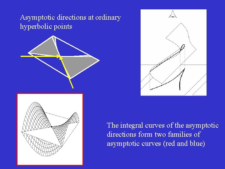 Asymptotic directions at ordinary hyperbolic points The integral curves of the asymptotic directions form