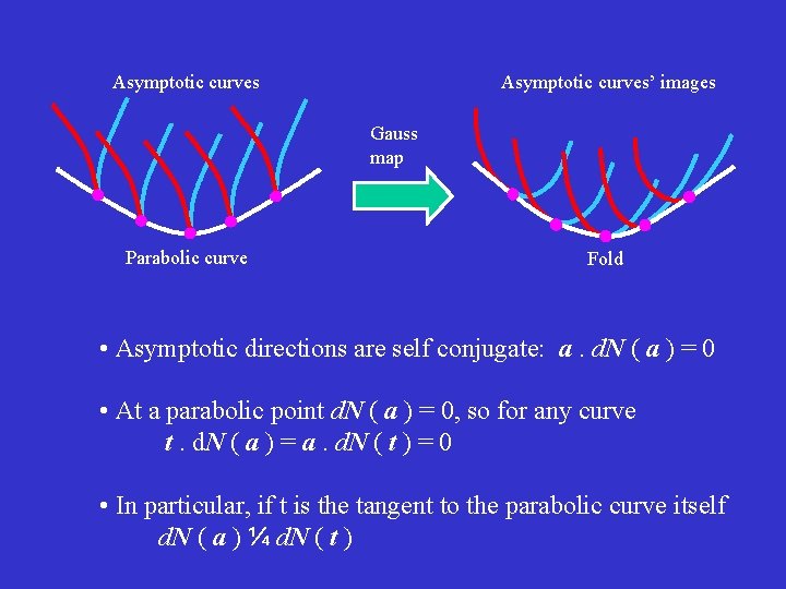 Asymptotic curves’ images Gauss map Parabolic curve Fold • Asymptotic directions are self conjugate: