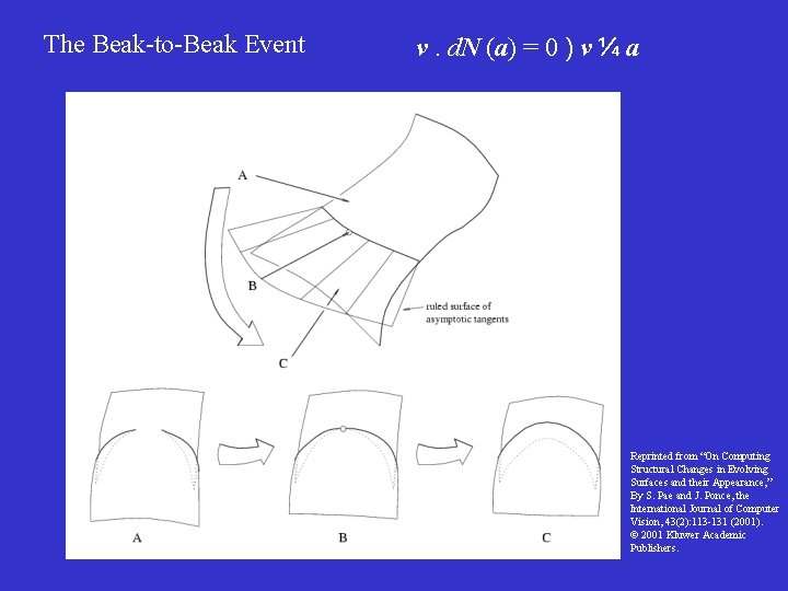 The Beak-to-Beak Event v. d. N (a) = 0 ) v ¼ a Reprinted