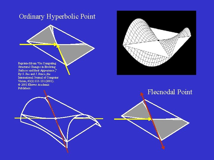 Ordinary Hyperbolic Point Reprinted from “On Computing Structural Changes in Evolving Surfaces and their