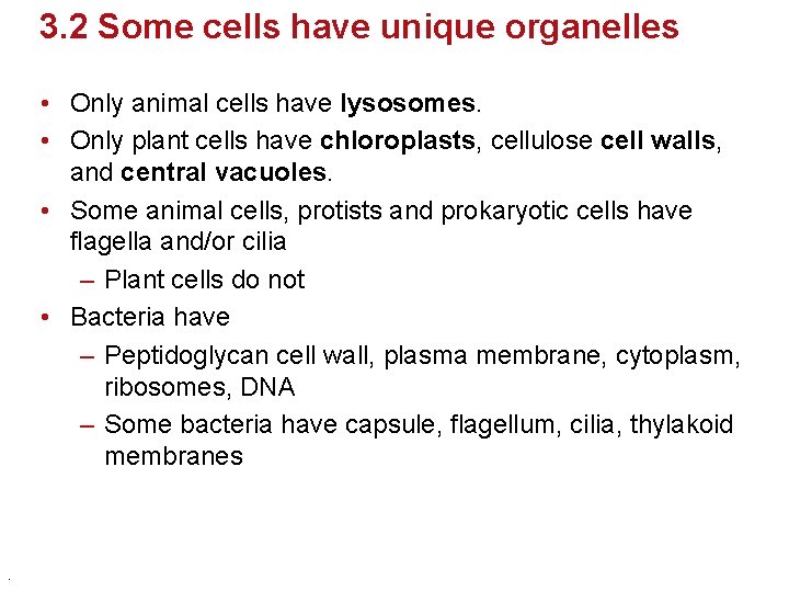 3. 2 Some cells have unique organelles • Only animal cells have lysosomes. •