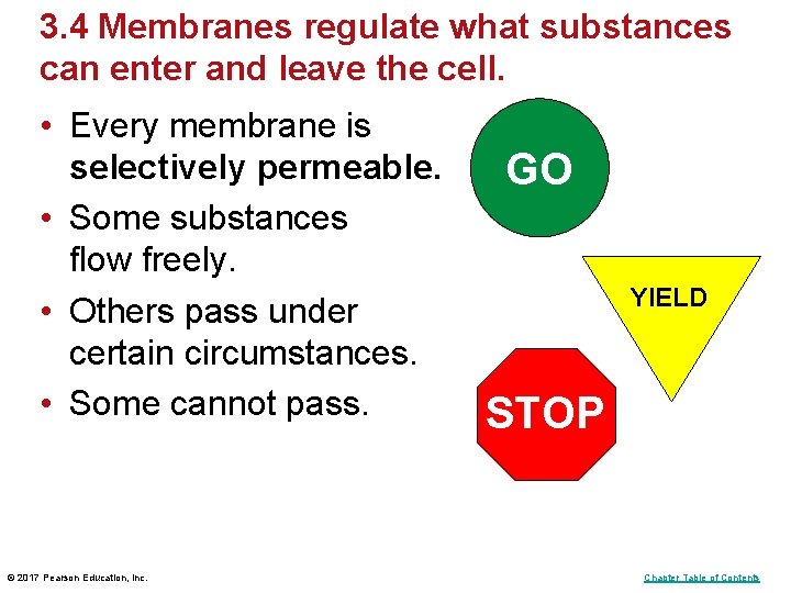 3. 4 Membranes regulate what substances can enter and leave the cell. • Every