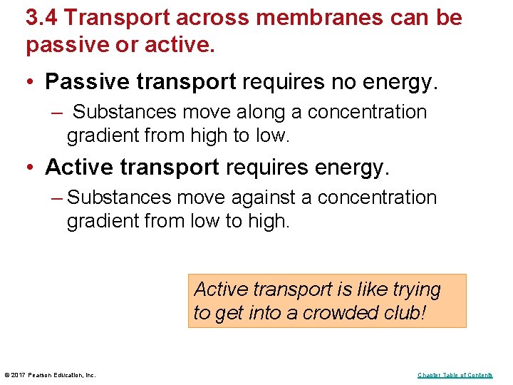 3. 4 Transport across membranes can be passive or active. • Passive transport requires