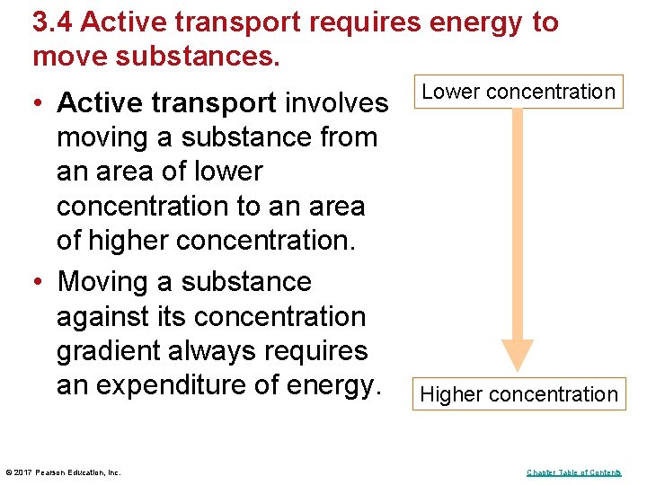 3. 4 Active transport requires energy to move substances. • Active transport involves moving