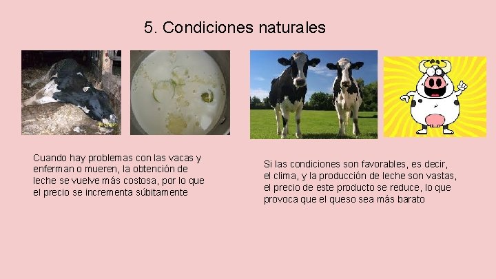 5. Condiciones naturales Cuando hay problemas con las vacas y enferman o mueren, la