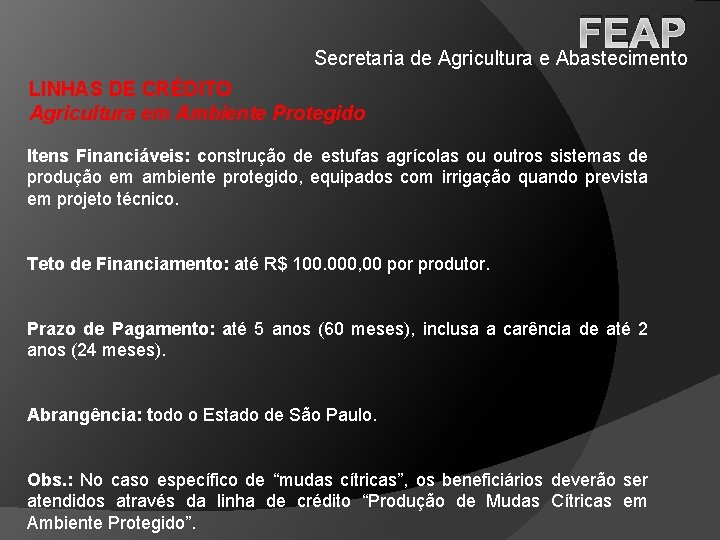 FEAP Secretaria de Agricultura e Abastecimento LINHAS DE CRÉDITO Agricultura em Ambiente Protegido Itens