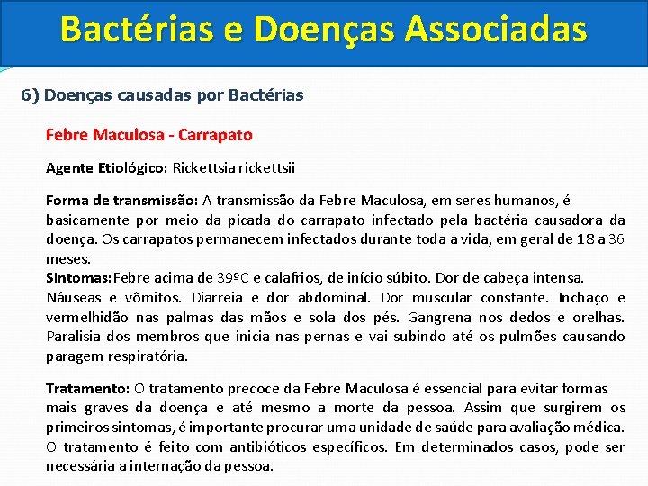 Bactérias e Doenças Associadas 6) Doenças causadas por Bactérias Febre Maculosa - Carrapato Agente