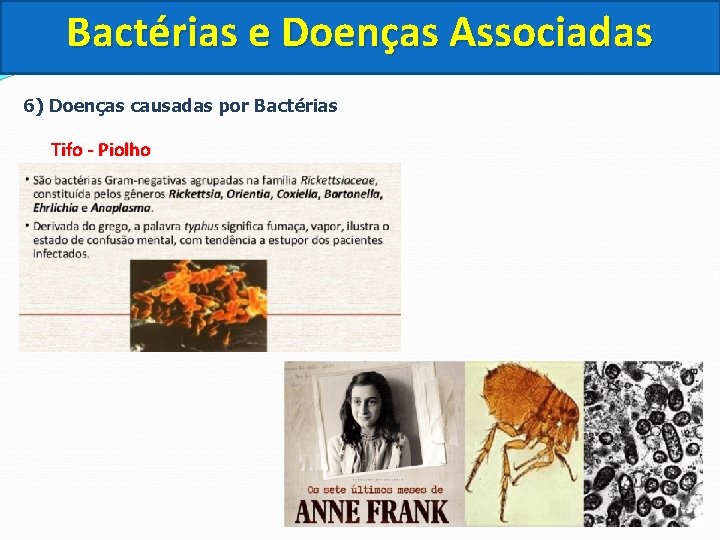 Bactérias e Doenças Associadas 6) Doenças causadas por Bactérias Tifo - Piolho 