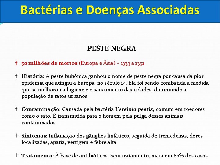 Bactérias e Doenças Associadas PESTE NEGRA † 50 milhões de mortos (Europa e Ásia)