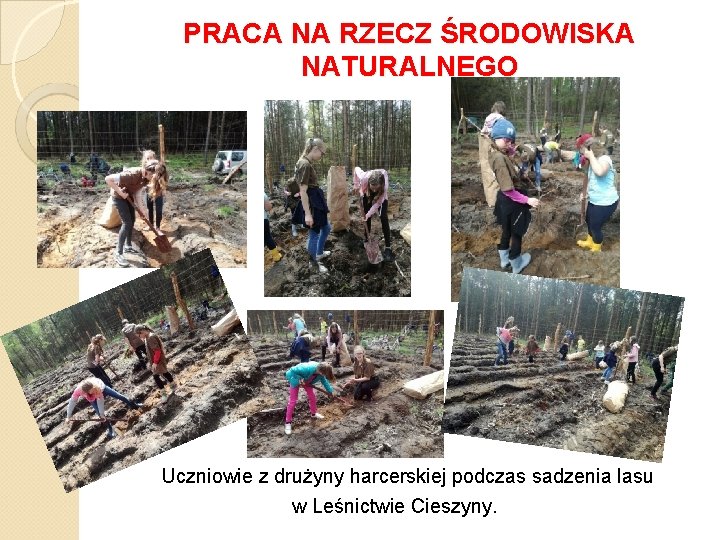 PRACA NA RZECZ ŚRODOWISKA NATURALNEGO Uczniowie z drużyny harcerskiej podczas sadzenia lasu w Leśnictwie PRACA NA RZECZ ŚRODOWISKA NATURALNEGO Uczniowie z drużyny harcerskiej podczas sadzenia lasu w Leśnictwie
