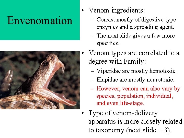 • Venom ingredients: Envenomation – Consist mostly of digestive-type enzymes and a spreading • Venom ingredients: Envenomation – Consist mostly of digestive-type enzymes and a spreading