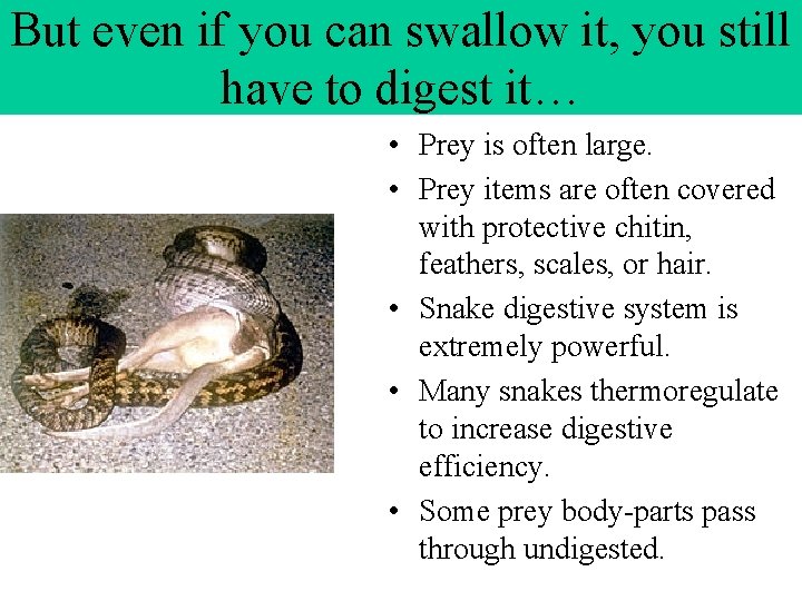 But even if you can swallow it, you still have to digest it… • But even if you can swallow it, you still have to digest it… •