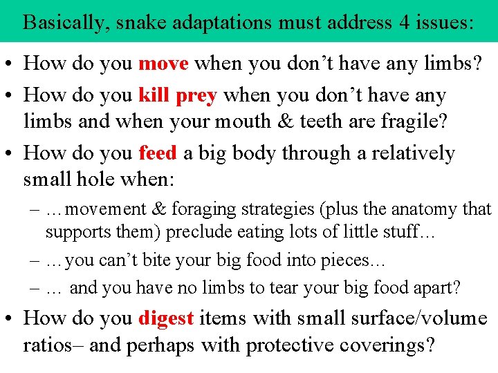 Basically, snake adaptations must address 4 issues: • How do you move when you Basically, snake adaptations must address 4 issues: • How do you move when you