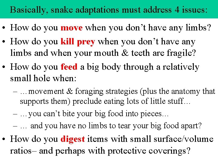 Basically, snake adaptations must address 4 issues: • How do you move when you