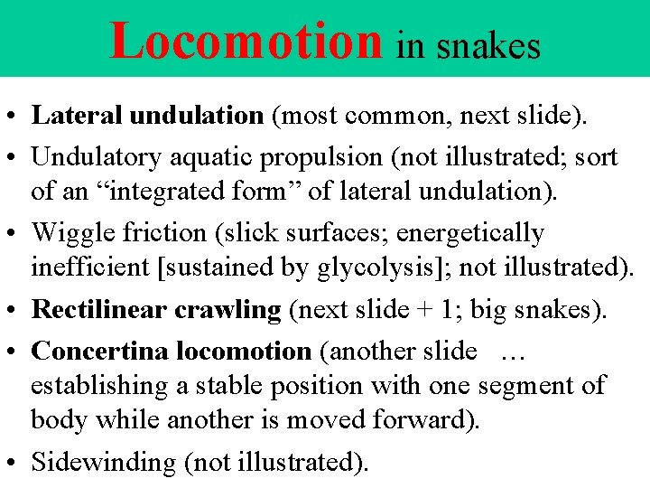 Locomotion in snakes • Lateral undulation (most common, next slide). • Undulatory aquatic propulsion