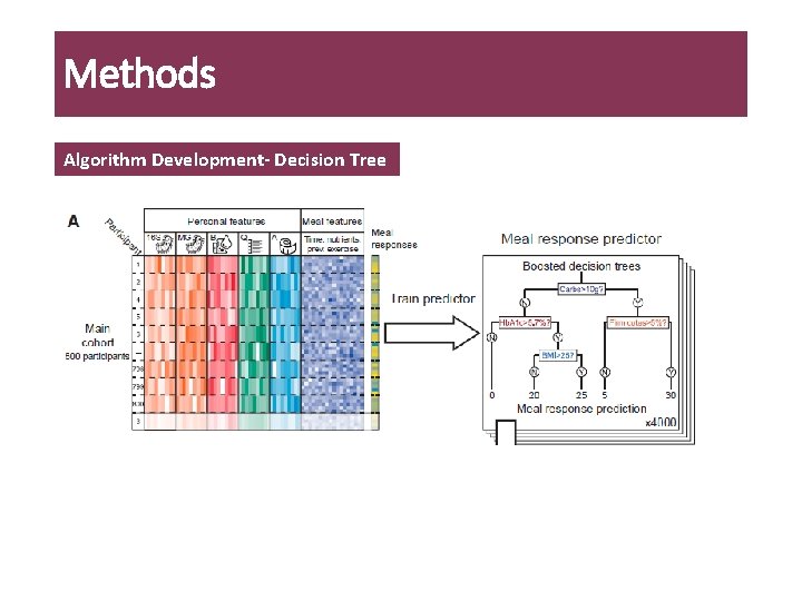Methods Algorithm Development- Decision Tree 