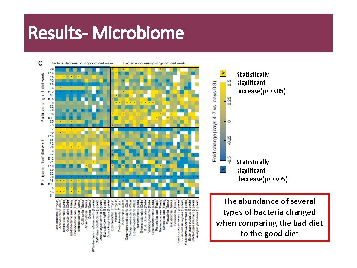 Results- Microbiome Statistically significant increase(p< 0. 05) Statistically significant decrease(p< 0. 05) The abundance