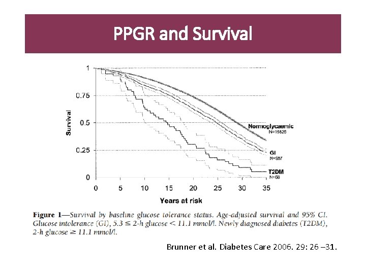 PPGR and Survival Brunner et al. Diabetes Care 2006. 29: 26 – 31. 
