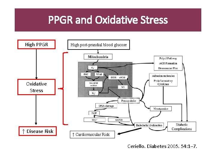 PPGR and Oxidative Stress High PPGR High post-prandial blood glucose Oxidative Stress ↑ Disease