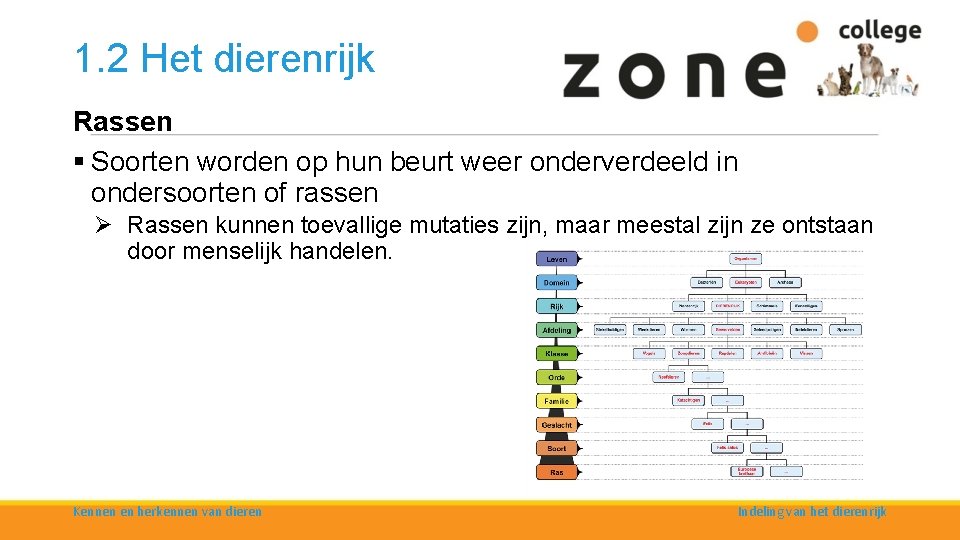 1. 2 Het dierenrijk Rassen § Soorten worden op hun beurt weer onderverdeeld in