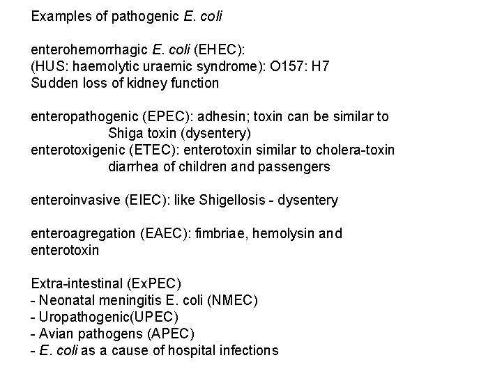 Examples of pathogenic E. coli enterohemorrhagic E. coli (EHEC): (HUS: haemolytic uraemic syndrome): O
