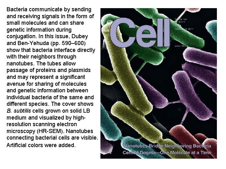 Bacteria communicate by sending and receiving signals in the form of small molecules and