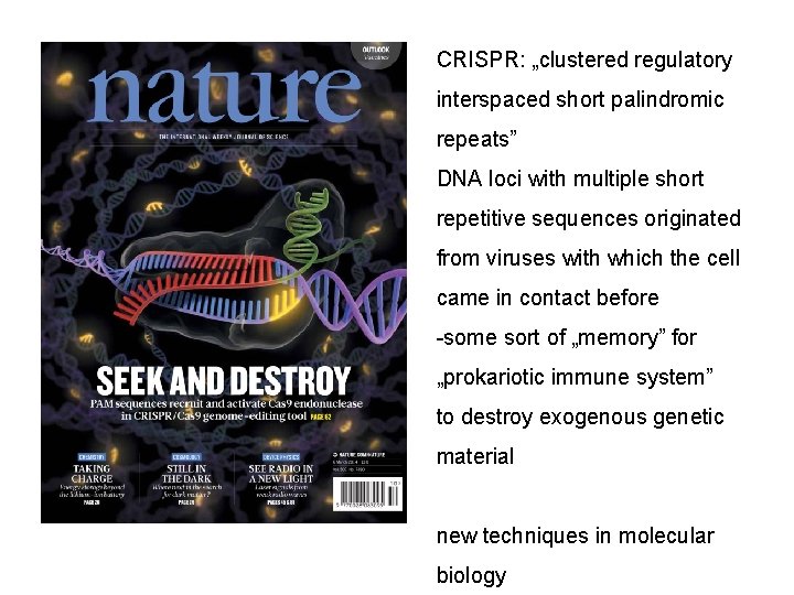 CRISPR: „clustered regulatory interspaced short palindromic repeats” DNA loci with multiple short repetitive sequences