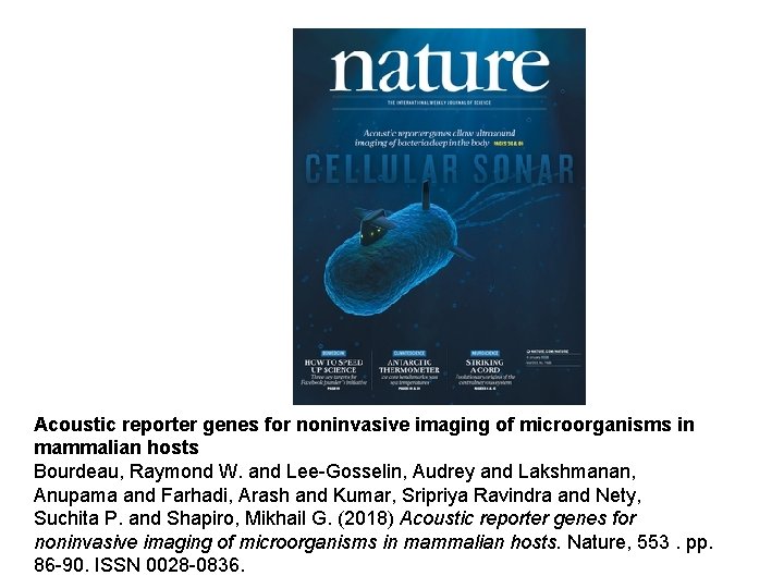 Acoustic reporter genes for noninvasive imaging of microorganisms in mammalian hosts Bourdeau, Raymond W.