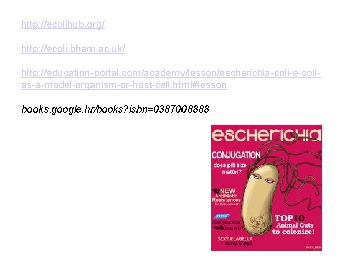 http: //ecolihub. org/ http: //ecoli. bham. ac. uk/ http: //education-portal. com/academy/lesson/escherichia-coli-e-colias-a-model-organism-or-host-cell. html#lesson books. google.