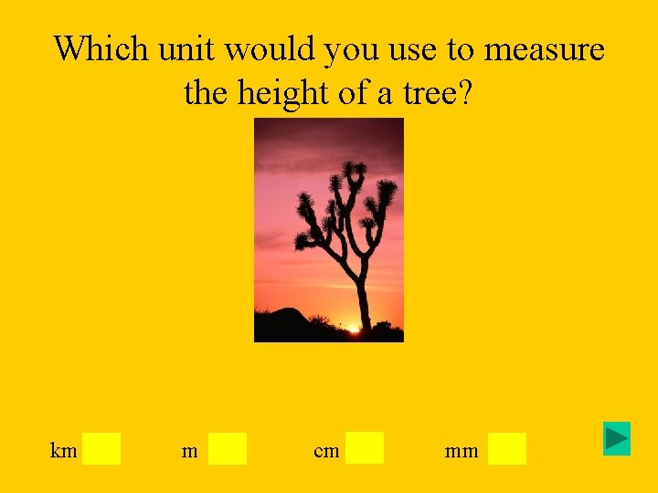 Which unit would you use to measure the height of a tree? km m