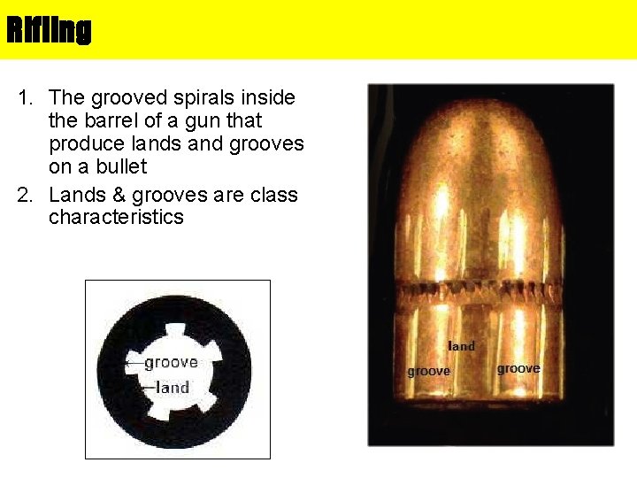 Rifling 1. The grooved spirals inside the barrel of a gun that produce lands