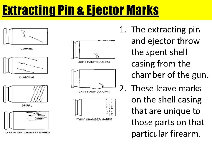 Extracting Pin & Ejector Marks 1. The extracting pin and ejector throw the spent