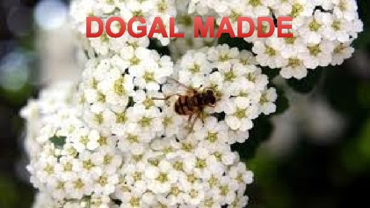 DOĞAL MADDE DOĞAL MADDE