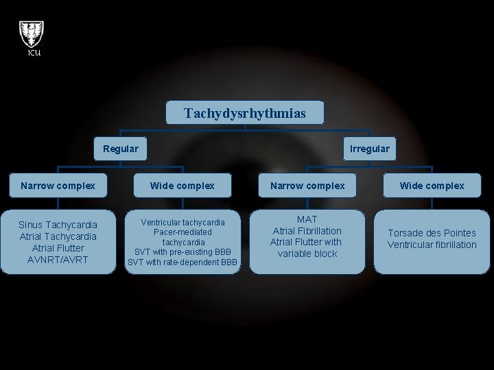 ICU Tachydysrhythmias Regular Irregular Narrow complex Wide complex Sinus Tachycardia Atrial Flutter AVNRT/AVRT Ventricular