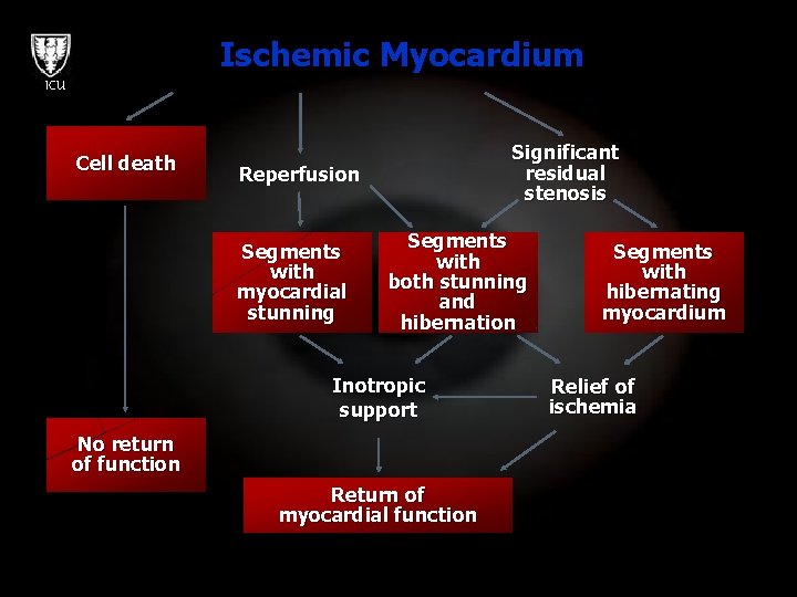 Ischemic Myocardium ICU Cell death Significant residual stenosis Reperfusion Segments with myocardial stunning Segments