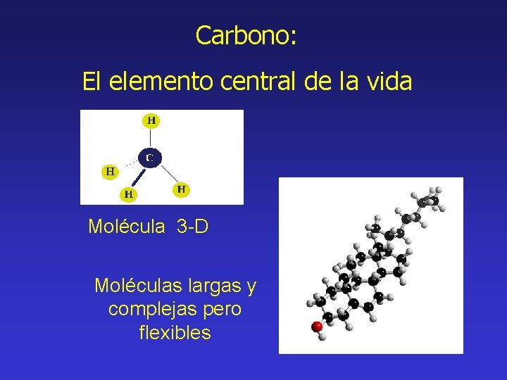 Carbono: El elemento central de la vida Molécula 3 -D Moléculas largas y complejas