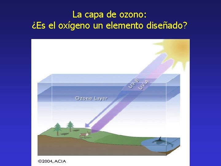 La capa de ozono: ¿Es el oxígeno un elemento diseñado? 